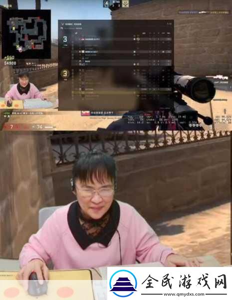 雙人暴躁老阿姨csgo