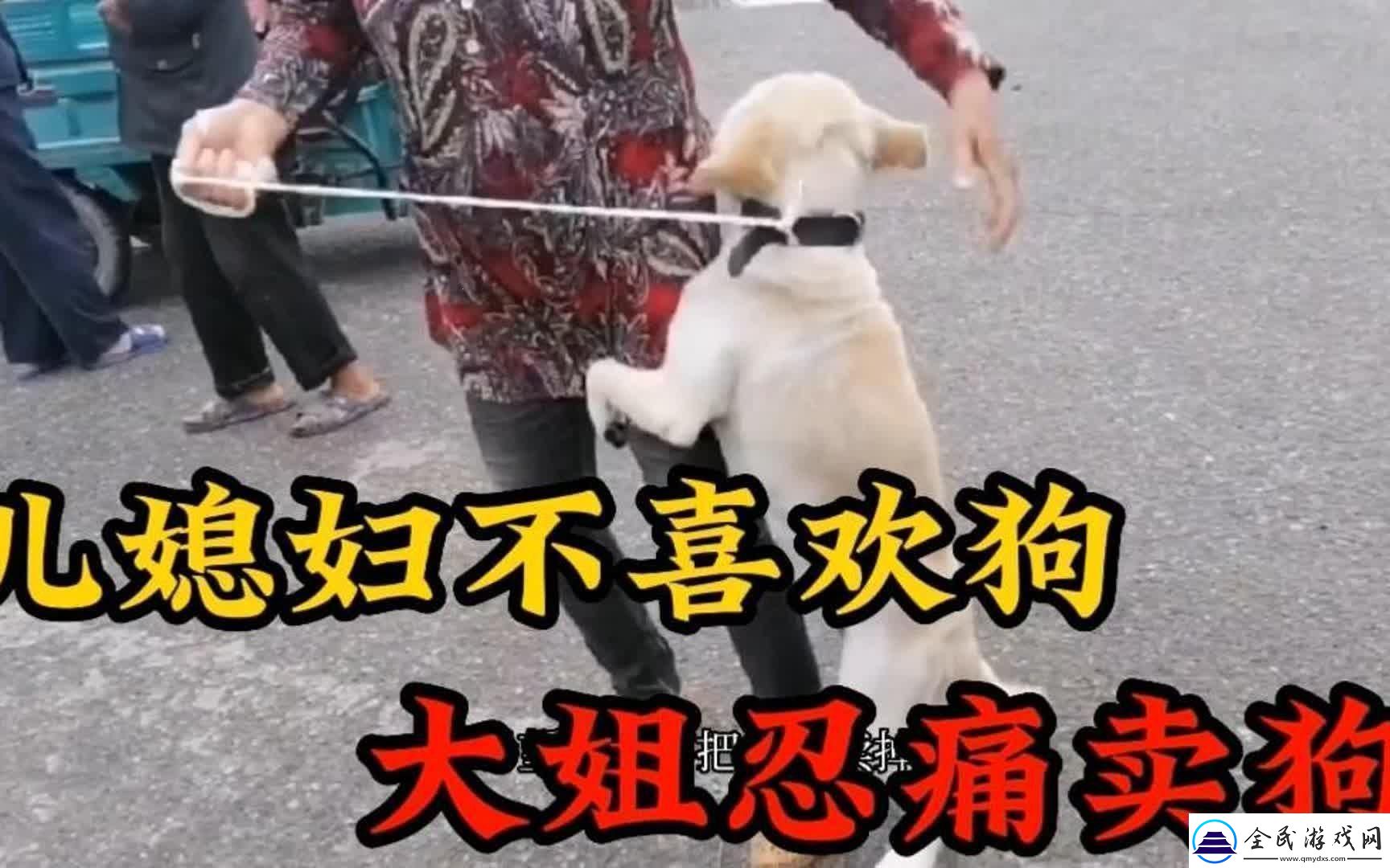 婆婆的犬吠抗議